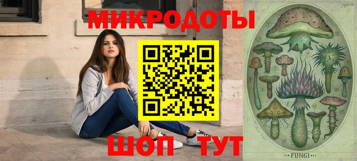 Галлюциногенные грибы Cubensis Тавда