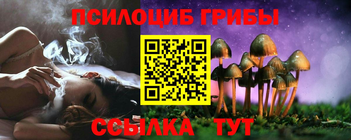 Псилоцибиновые грибы Psilocybine cubensis  Вход с VPN  Тавда  Псилоцибиновые грибы MAGIC MUSHROOMS 
